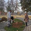 Planting seedlings in the primary school Rajko Zinzifov Skopje-1