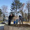 Planting seedlings in the primary school Rajko Zinzifov Skopje-4