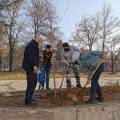 Planting seedlings in the primary school Rajko Zinzifov Skopje-2