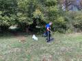 Cleaning action for the locality Camp on Lake Mavrovo - 4