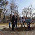 Planting seedlings in the primary school Rajko Zinzifov Skopje-3